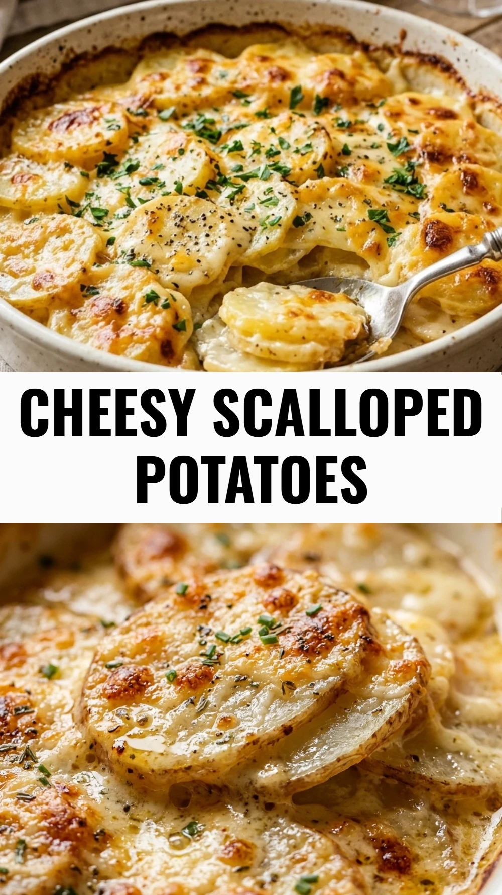 Cheesy Scalloped Potatoes
