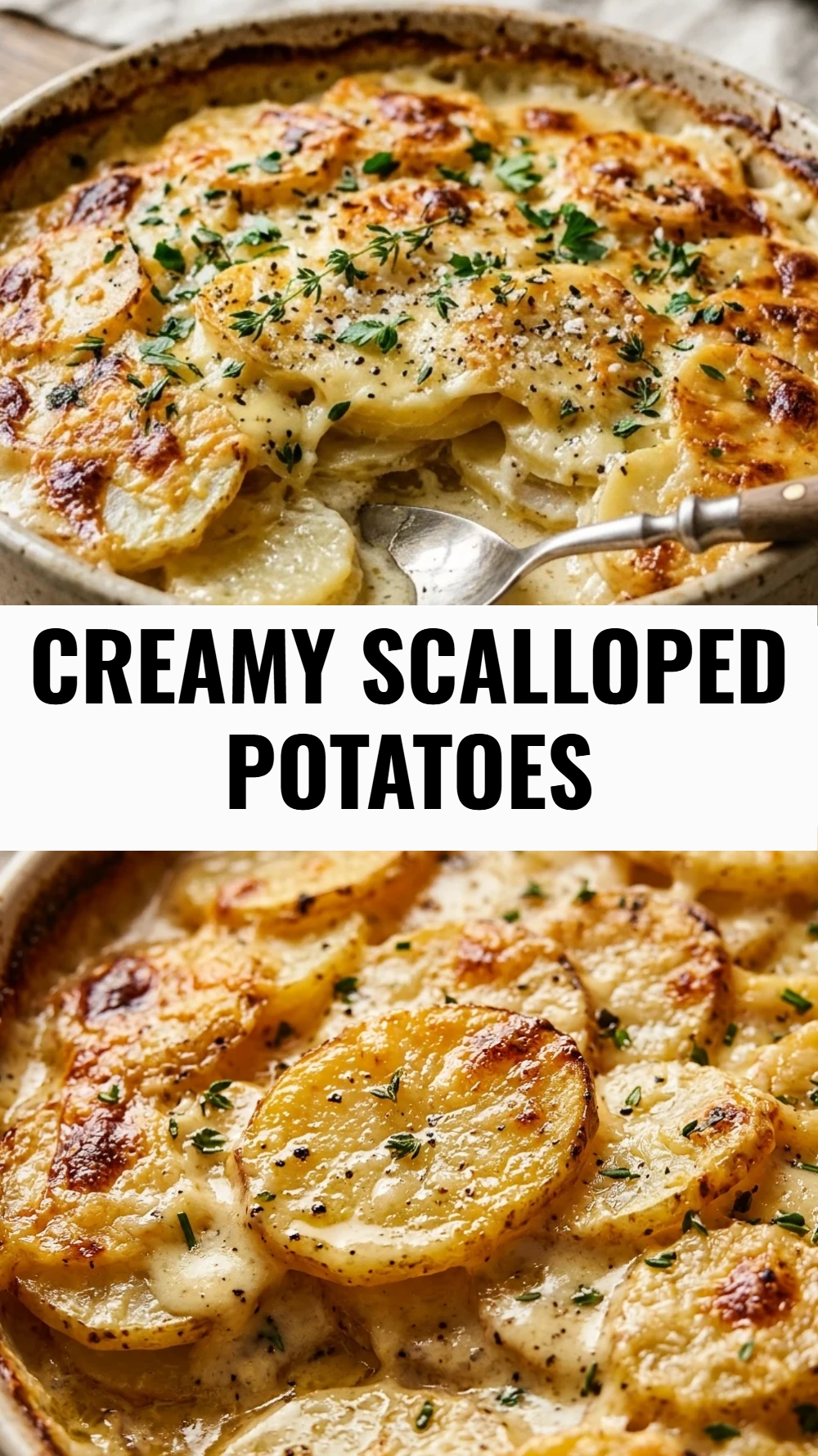 Creamy Scalloped Potatoes